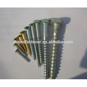 Carbon Steel Hex Head Lag Bolt, Lag Screw